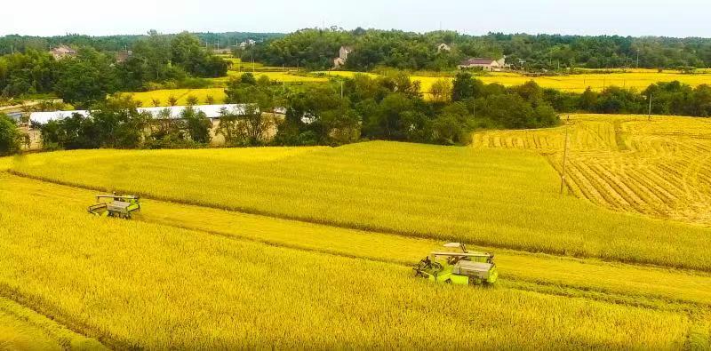 必发集团(股份)有限公司-官方网站