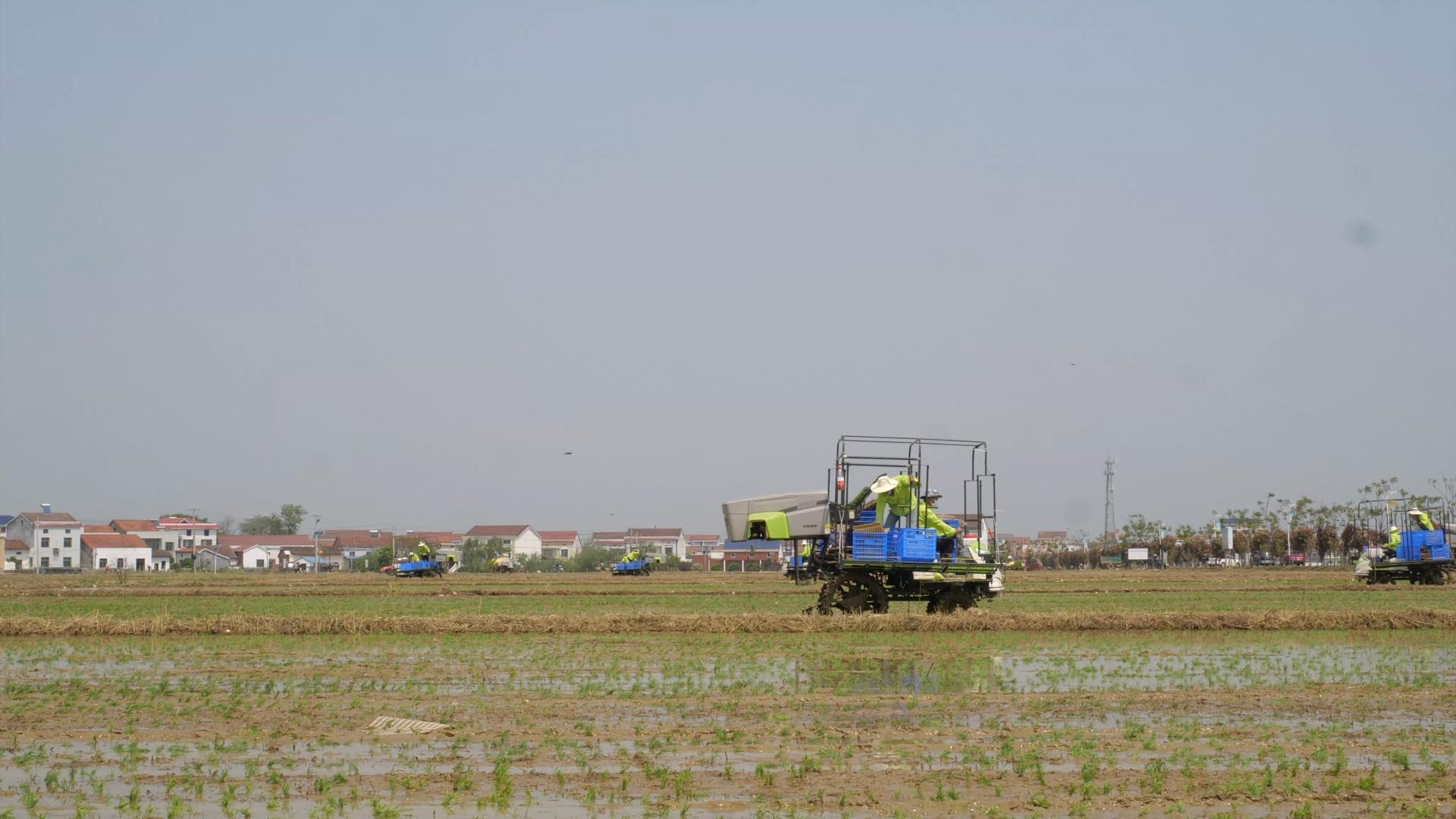 必发集团(股份)有限公司-官方网站