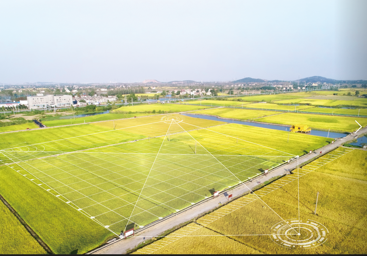 必发集团(股份)有限公司-官方网站