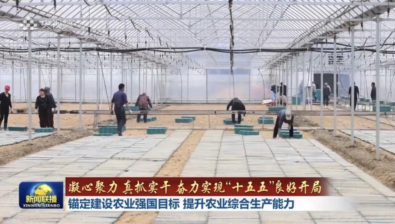必发集团(股份)有限公司-官方网站