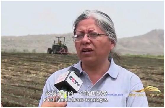 必发集团(股份)有限公司-官方网站