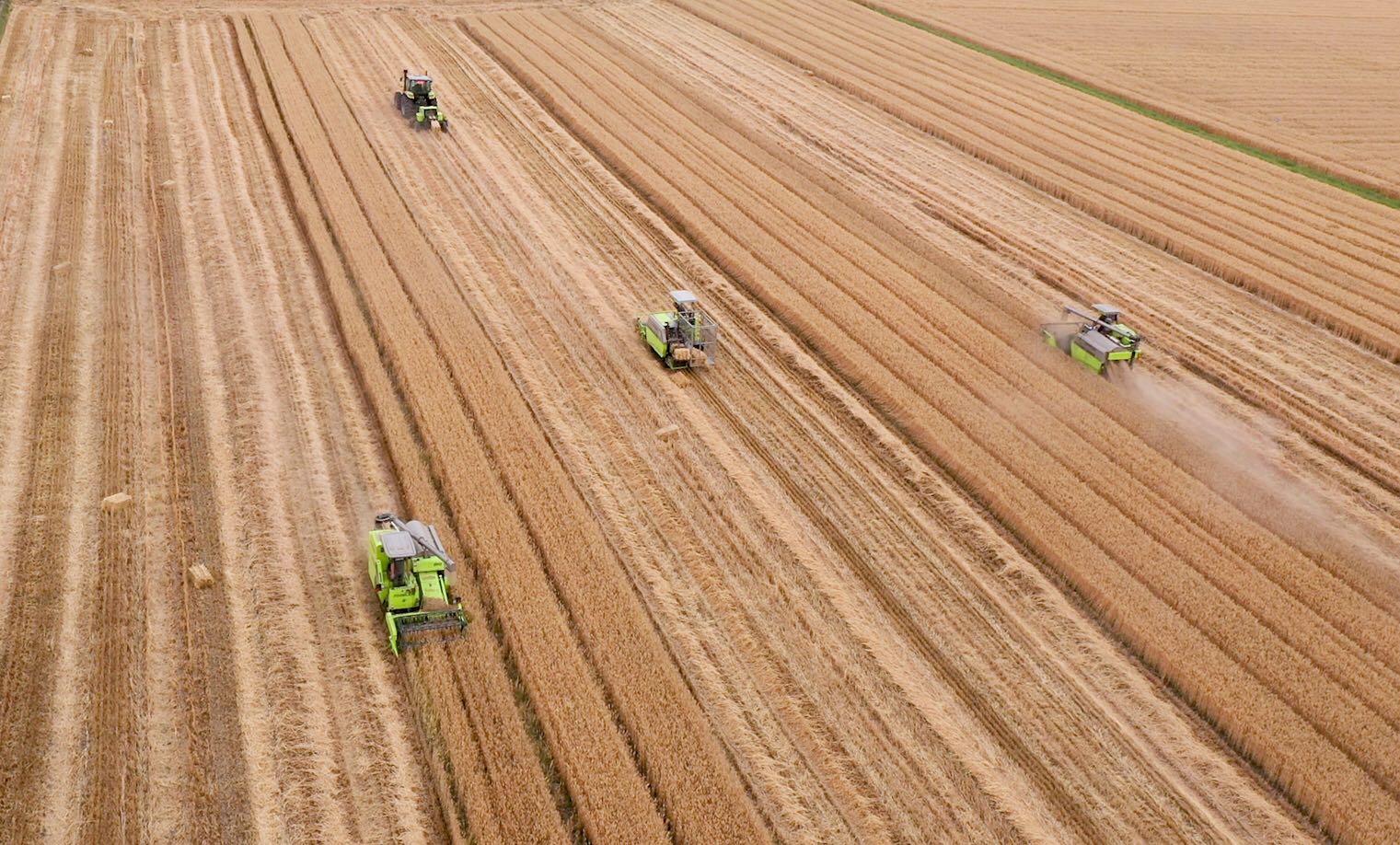 必发集团(股份)有限公司-官方网站